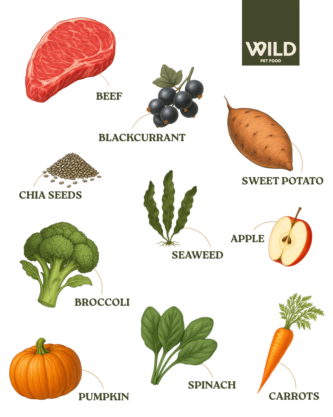 Beef 80:20 Cold-Pressed - Image 3