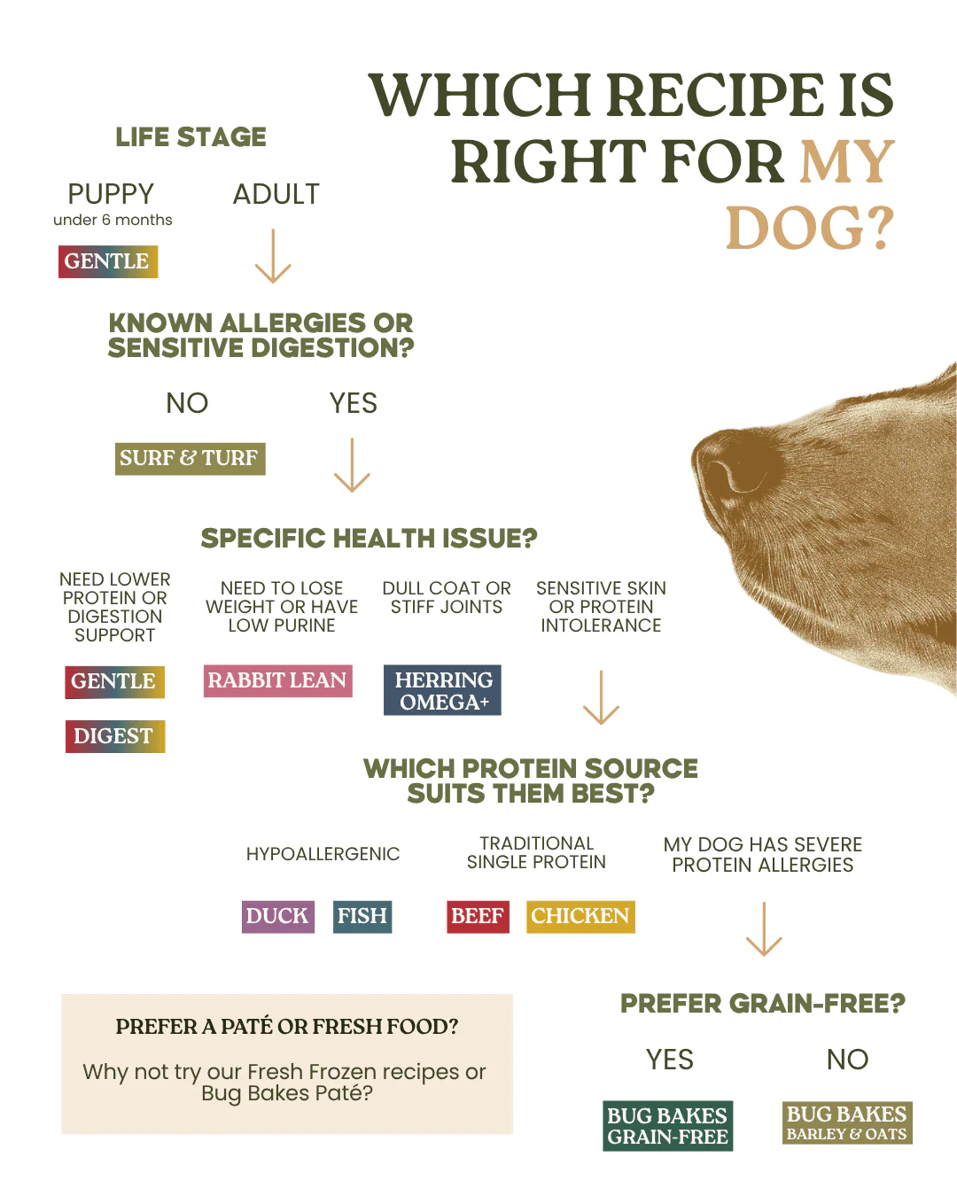 Surf and Turf 80:20 Cold-Pressed - Image 9