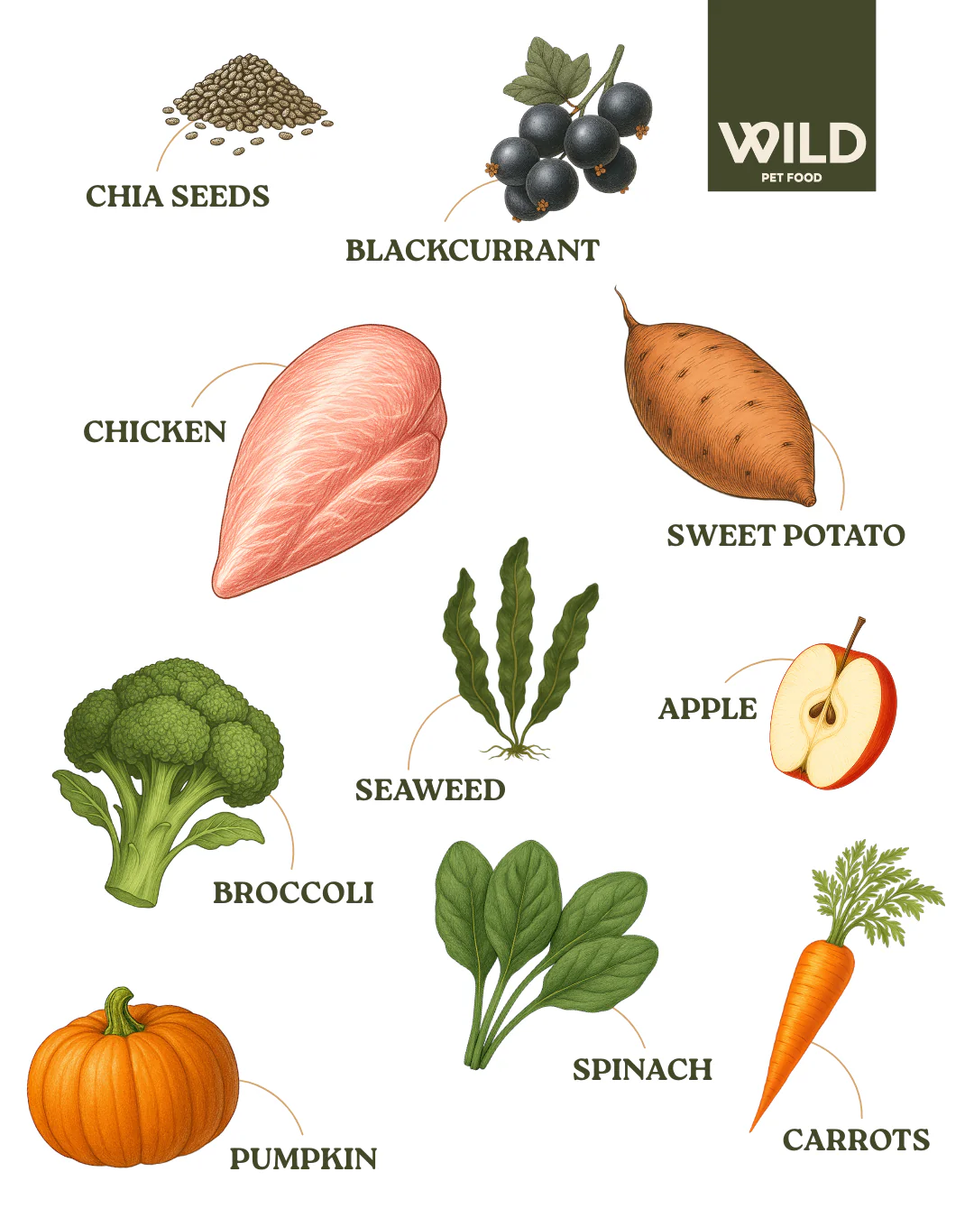 Chicken 80:20 Cold-Pressed - Image 3