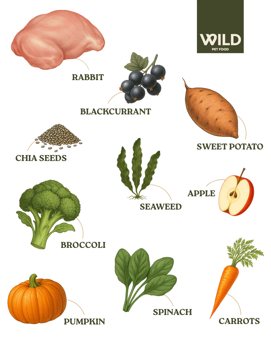 Rabbit 80:20 Lean Cold-Pressed - Image 3