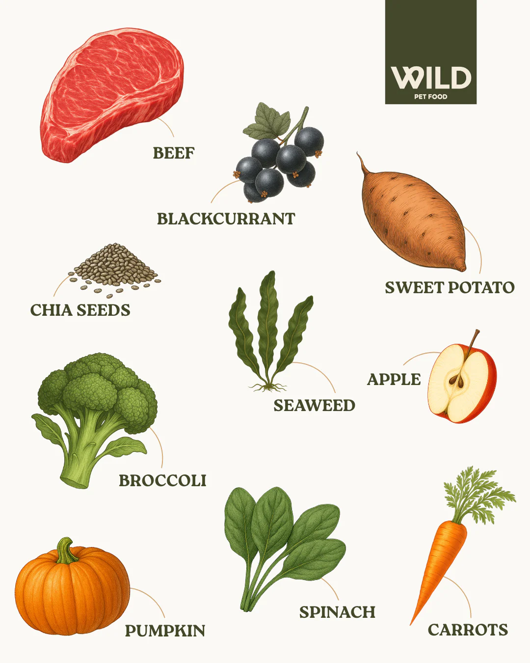 TRADE Beef 80:20 Cold-Pressed - Image 3
