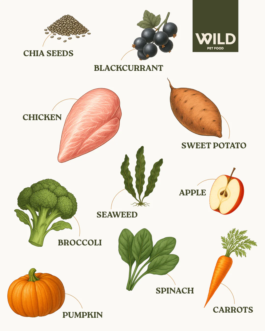 TRADE Chicken 80:20 Cold-Pressed - Image 3